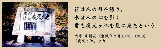 作家 泉鏡花 「夜叉ヶ池」より 作家 泉鏡花 「夜叉ヶ池」より