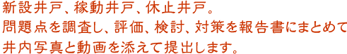 新設井戸、稼動井戸、休止井戸。問題点を調査し、評価、検討、対策を報告書にまとめて井内写真と動画を添えて提出します。 報告書にまとめて井内写真と動画を添えて提出